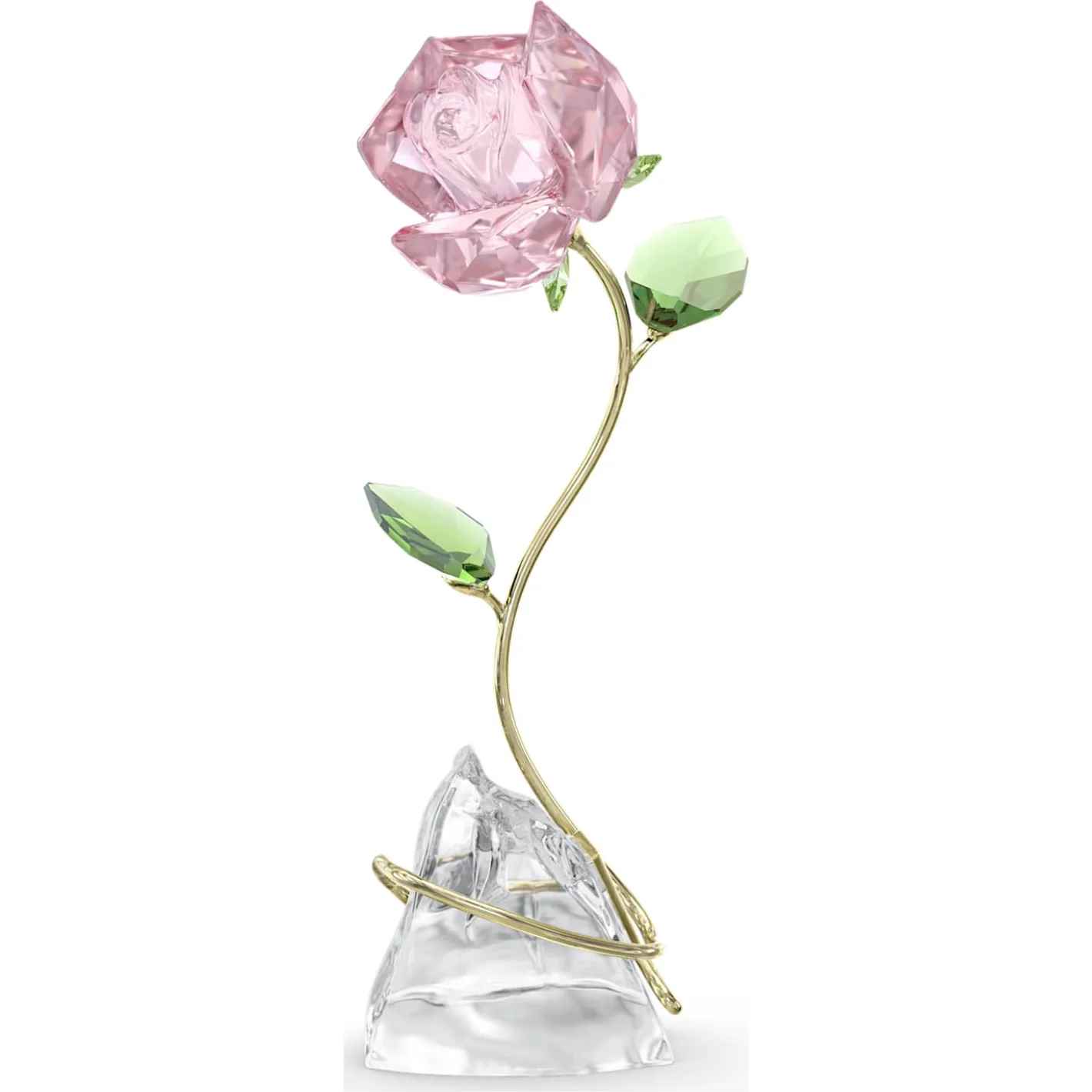 Florere Rose