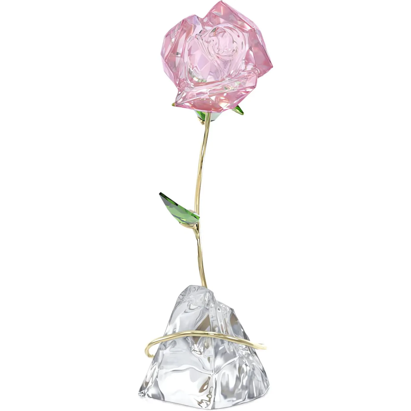 Florere Rose